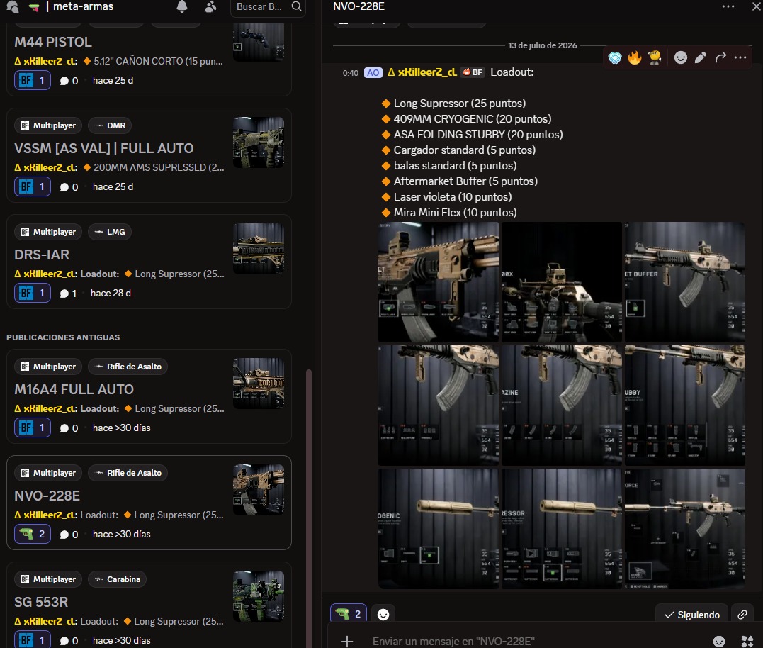 Loadout meta de rifle de asalto compartido en el foro del servidor